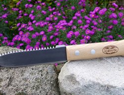 Serrated Farmer Dagger
Garden Design
Calimesa, CA