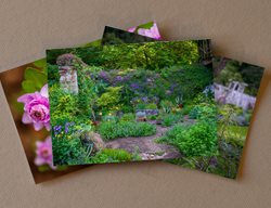 Set Of 3 David Culp's Garden Notecards
Garden Design
Calimesa, CA