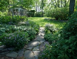 Shade Garden, Garden Path
Rick Darke LLC
Landenberg, PA