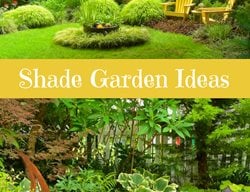 Shade Garden Ideas Photo
Garden Design
Calimesa, CA