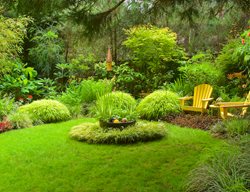 Shade Garden With Yellow Chairs, Japanese Forest Grass
Garden Design
Calimesa, CA