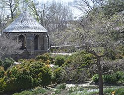 Shade House 
Garden Design
Calimesa, CA
