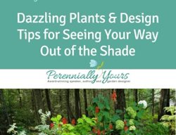 Shade Plant Video From Kerry Ann Mendez
Perennially Yours
PA