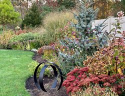Shrub And Perennial Border
Garden Design
Calimesa, CA