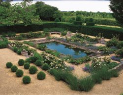 Shrub Roses 
Garden Design
Calimesa, CA