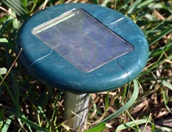 Shutterstock.com
New York, NY