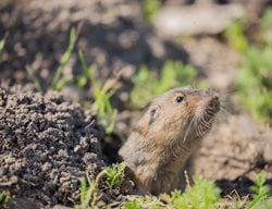 Shutterstock.com
New York, NY