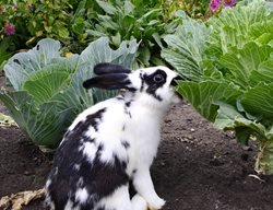 Shutterstock.com
New York, NY