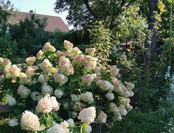 Shutterstock.com
New York, NY