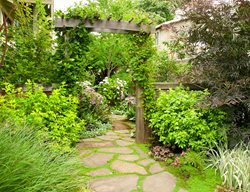 Side Yard With Arbor
Garden Design
Calimesa, CA