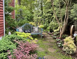 Side Yard With Bench
Alli Guleria
Washington D.C., 