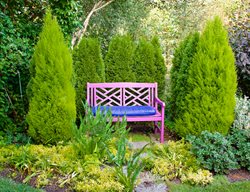 Side Yard With Bench, Pink Bench In Garden
Garden Design
Calimesa, CA