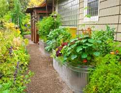 Side Yard With Vegetable Garden, Raised Vegetable Garden
Garden Design
Calimesa, CA