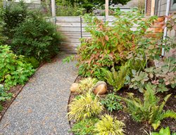 Sideyard Gravel Pathway
Garden Design
Calimesa, CA