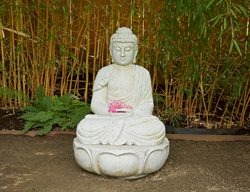Sitting Budha Statue, Budha And Bamboo
Garden Design
Calimesa, CA
