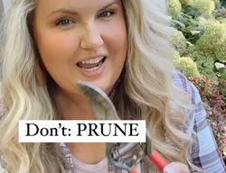 Skye - Don't Prune
Garden Design
Calimesa, CA