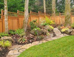 Sloped Backyard, Paver Pathway, Shade Planting
Garden Design
Calimesa, CA