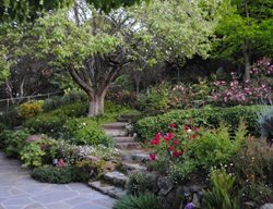 Sloped Garden With Steps
Garden Design
Calimesa, CA