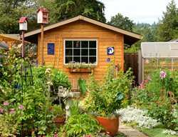 Small Backyard, Garden Shed, Focal Point
Garden Design
Calimesa, CA