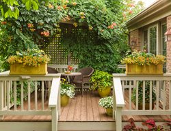 Small Deck Patio, Deck With Plants
Proven Winners
Sycamore, IL