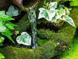 Small Fountain With Moss
Garden Design
Calimesa, CA