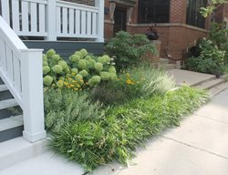 Small Front Garden With Hydrangea
Fieldwork Design Group
IL