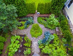 Small Garden, Vegetable Garden
Ellen Ecker Ogden
