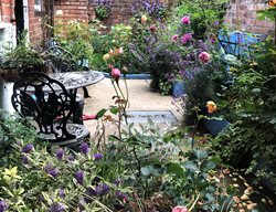 Small Garden With Roses, English Garden, Cottage Garden
Garden Design
Calimesa, CA