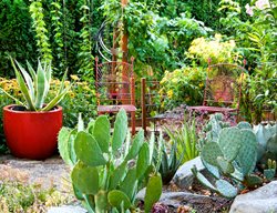 Small Rock Garden, Rock Garden With Cactus
Garden Design
Calimesa, CA