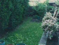 Small Uk Garden
Garden Design
Calimesa, CA