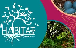 Smithsonian Habitat Exhibit
Garden Design
Calimesa, CA