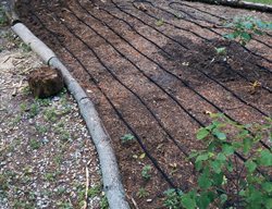 Soaker Hoses, Irrigation, Drought
Garden Design
Calimesa, CA