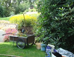 Soil Amendments, Improve Soil
Johnsen Landscapes & Pools
Mount Kisco, NY