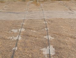 Soil Solarization, Organic Weed Control
Shutterstock.com
New York, NY