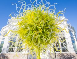 Sol De Citron
Garden Design
Calimesa, CA