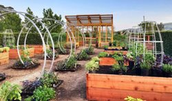 Sonoma Cornerstone, Sunset Gardens
Sunset
