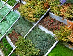 Source, Garden 
Garden Design
Calimesa, CA