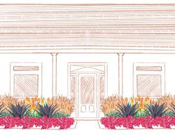 Southern Pollinator Foundation Planting
Proven Winners
Sycamore, IL