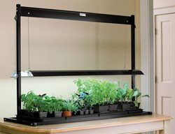 Sow Cool-Season Crops Indoors
Garden Design
Calimesa, CA