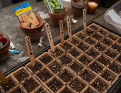 Sow Seeds For Summer Crops
Garden Design
Calimesa, CA