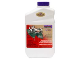 Spray Fruit Trees
Garden Design
Calimesa, CA