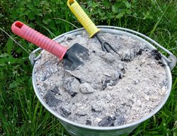 Spread Wood Ash On Garden Beds
Garden Design
Calimesa, CA