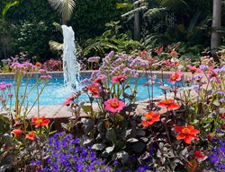 Spring
Garden Design
Calimesa, CA