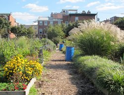 Spring Gardens Community Garden
Garden Design
Calimesa, CA
