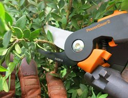 Spring, Pruning
Fiskars
