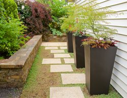 Square Pavers In Side Yard Of Modern Garden
Garden Design
Calimesa, CA
