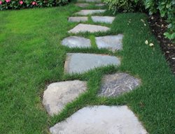 Staggered Stone Walking Path
Garden Design
Calimesa, CA