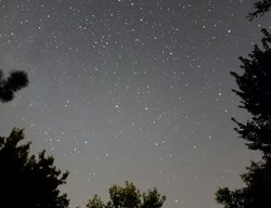 Starry Sky
Garden Design
Calimesa, CA