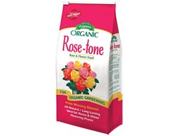 Start Feeding Roses
Garden Design
Calimesa, CA