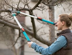 Start Pruning Dormant Trees & Shrubs
Garden Design
Calimesa, CA